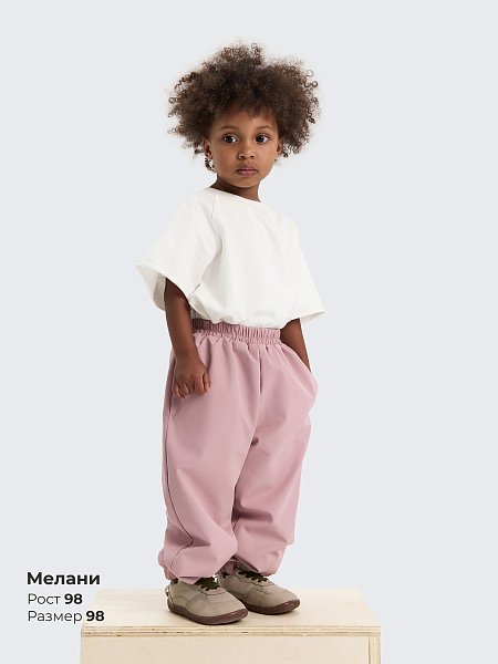 Брюки Симпл